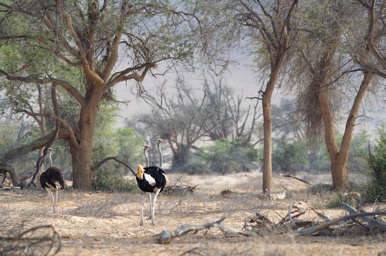 Wilderness Safaris Doro Nawas Villa Twyfelfontein Luaran gambar